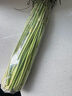 今年頭茬新鮮蒜苔生鮮超市品質蒜薹蔬菜調料涼拌炒制即食蒜苔 1斤【新鮮蒜薹】 曬單實拍圖