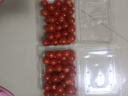 京鮮生＆富美鶴城 櫻桃番茄凈重430g*2盒 脆甜小西紅柿 源頭直發(fā) 曬單實(shí)拍圖