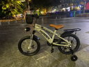 永久（FOREVER）兒童自行車(chē)3-5-8歲兒童單車(chē)男女孩碟剎腳踏車(chē)16寸小孩自行車(chē) 曬單實(shí)拍圖