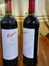 奔富（Penfolds）BIN8 設拉子赤霞珠紅葡萄酒750ml*6 原箱裝 澳洲原產(chǎn) 曬單實(shí)拍圖
