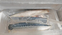 京東超市 海外直采 冷凍挪威青花魚(yú)700g/袋 帶皮去刺 燒烤食材 海鮮水產(chǎn) 曬單實(shí)拍圖