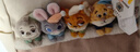 迪士尼（Disney）瘋狂動(dòng)物城包包女包生日禮物女生玩偶單肩包托特包女士實(shí)用大容量 曬單實(shí)拍圖