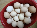 農家散養谷物土雞蛋50±5克/枚 30枚 曬單實(shí)拍圖