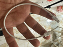 畢亞茲適用蘋果充電線Lightning數(shù)據(jù)線PD27W/20W快充線Type-C充電寶短線iPhone14/13/12/11/xr手機0.3米 曬單實拍圖