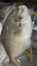 翔泰海南二去金鯧魚700g/2條  去鰓去內(nèi)臟 燒烤 生鮮魚類  海鮮水產(chǎn) 曬單實拍圖