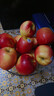 京鮮生 Mr Apple新西蘭皇后紅玫瑰蘋(píng)果12粒 單果130-150g 中秋水果禮盒 曬單實(shí)拍圖