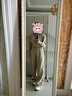 蕉內(nèi)（Bananain）非常服男女同款連帽衛(wèi)衣加絨休閑百搭透氣秋冬男裝 【男女同款加絨】杏卡其 M 曬單實拍圖