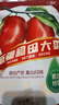 古力巴戈特級(jí)和田駿棗500g*2袋 精選綠色食品紅棗蜜餞果干新疆零食 曬單實(shí)拍圖
