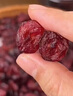 中國藥材順豐包郵-蔓越莓干烘培專(zhuān)用商用嬰兒蔓曼越梅莓碎新鮮水果無(wú)糖 大罐2罐蔓越莓干(250g*2) 曬單實(shí)拍圖