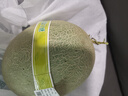 【產(chǎn)地直采】冰淇淋網(wǎng)紋瓜1粒1.25kg 曬單實(shí)拍圖