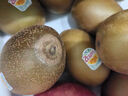 佳沛（zespri）新西蘭陽光金奇異果原箱 16粒巨無霸 單果重約202-230g   獼猴桃 曬單實拍圖