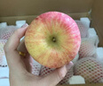 百媒煙臺紅富士蘋果 凈重5kg 單果220g+ 源頭直發(fā)包郵 曬單實拍圖