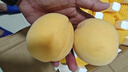 京覓黃桃水果蒙陰桃子新鮮黃金蜜桃 凈重4.5斤 單果120g起 源頭直發(fā) 曬單實拍圖