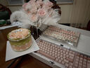羅技（Logitech）ALTO KEYS K98M/K98S客制化機械鍵盤(pán) 無(wú)線(xiàn)藍牙鍵盤(pán)雙模mac ipad鍵盤(pán)98鍵游戲辦公家用鍵盤(pán)AI熱插拔 K98S玫瑰粉+秋天修狗鍵帽 曬單實(shí)拍圖