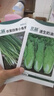 北蔬 蔬菜種子苗生菜菠菜小香蔥芹菜陽臺四季菜種籽 12種蔬菜種子套餐 曬單實(shí)拍圖