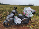豪爵適用豪爵AFR125后減震HJ125T-27后避震器彈簧總成后叉 AFR125 后減震器(原裝帶防偽) 62 曬單實(shí)拍圖