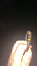 周大生一生一世情侶木制手串s925銀木制手串情侶手串送女友男友生日禮物 木制手串（男款） 曬單實(shí)拍圖
