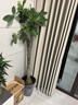 植男植女發(fā)財(cái)樹大型盆栽客廳室內(nèi)真綠植辦公室開業(yè)送禮獨(dú)桿招財(cái)樹源頭直發(fā) 曬單實(shí)拍圖