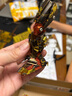 拼酷齊天大圣-悟空3d金屬立體拼圖創(chuàng  )意擺件玩具中秋節送男友禮物 齊天大圣+輕便工具套裝 曬單實(shí)拍圖
