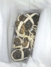 【活蟹】乾澄大閘蟹現(xiàn)貨 2.3-2.6兩8只 足斤足兩鮮活六月黃螃蟹生鮮海鮮禮盒裝源頭直發(fā) 曬單實拍圖