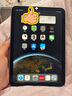 倍思ipadmini7鋼化膜保護膜類ar膜蘋果平板膜無塵倉【超清裸屏 強抗指紋】適用iPadmini7/6-8.3英寸 曬單實拍圖
