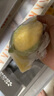 寶寶饞了玉米奶黃包200g兒童早餐輔食包子點(diǎn)心速食送嬰兒營(yíng)養輔食食譜 曬單實(shí)拍圖