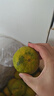 春福樂(lè ) 新鮮青皮蜜橘【源頭直發(fā)】當季現摘水果云南蜜橘酸橘整箱包郵 5斤精選 | 單果55-65mm凈重4.5斤 曬單實(shí)拍圖