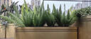 戶外不銹鋼花箱組合廣場(chǎng)花池樣品屋展示中心花槽花盆商業(yè)街道鐵藝 150*寬40*高50cm鍍鋅板 曬單實(shí)拍圖