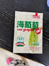 云山半鹽漬海葡萄100g*3即食兒童涼拌菜魚子醬火鍋商家用贈6種蘸料海藻 曬單實拍圖
