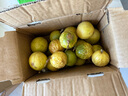 海南欽蜜9號(hào)黃金百香果啟鴻 新鮮水果純甜 如蜜 20個(gè)裝（30-45g） 曬單實(shí)拍圖