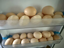 1號會(huì )員店可生食雞蛋30枚凈重3.6斤精選大碼蛋禮盒裝 源頭直發(fā) 曬單實(shí)拍圖