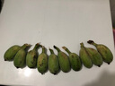 蘋果蕉新鮮香蕉自然熟芭蕉香甜粉糯萬澄現(xiàn)摘生鮮現(xiàn)發(fā)水果 帶箱2斤【4-8根】 曬單實(shí)拍圖