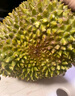 什果樂貓山王榴蓮（D197）馬來西亞進口帶殼整果液氮冷凍水果禮盒 尊選果凈重4.0-4.6斤（包4-5房） 曬單實拍圖