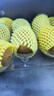 佳沛（zespri）新西蘭  陽光金奇異果10粒禮盒巨大果單果約144-175g 水果 獼猴桃 曬單實拍圖