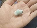 聲闊SleepA30睡眠耳機(jī)深睡艙無線降噪藍(lán)牙耳機(jī)睡覺不壓耳隔音耳塞助眠隱形小巧適用蘋果華為小米綠色 曬單實(shí)拍圖