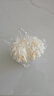 泰摩蛋糕型咖啡濾杯過(guò)濾布 無(wú)紡布蛋糕碗型咖啡濾紙 無(wú)紡布蛋糕形過(guò)濾布 50張 曬單實(shí)拍圖