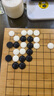 元蘿卜SenseRobotAI下棋機器人圍棋 對弈 習(xí)題  陪練 漲棋 AI講題 人機互動 家用學(xué)習(xí)【圍棋專業(yè)版】 曬單實拍圖