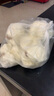 稻香誠(chéng)制稻香叉燒包流沙包小籠包奶黃包港式早茶加熱即食學(xué)生早餐港式點(diǎn)心 叉燒包x1包 曬單實(shí)拍圖