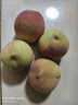 青州蜜桃毛桃桃子新鮮脆桃脆甜非水蜜桃新鮮桃子當季水果-華俊 3斤精品果 曬單實(shí)拍圖