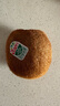 佳沛（zespri）新西蘭  陽(yáng)光金果18粒原箱單果重173-204g 獼猴桃 中秋水果禮盒 曬單實(shí)拍圖