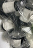 樂(lè )狗適配海爾除螨儀吸塵器配件ZC405F/ZC405S過(guò)濾網(wǎng)HEPA海帕濾芯 10只裝 曬單實(shí)拍圖