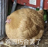 中國黃金日照金山情侶戒指一對男女銀對戒表白小眾生日禮物送女友老婆紀念 日照金山琺瑯情侶對戒-刻字/賀卡 曬單實(shí)拍圖