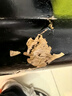 伍爾特(WURTH)德國品牌快干膠強力膠液態(tài)膠 6秒瞬粘高透配方透明無(wú)痕不發(fā)白 非萬(wàn)能膠502 粘金屬塑料陶瓷木材 曬單實(shí)拍圖