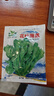紅莧菜種子圓葉速生蔬菜種子汗菜籽陽(yáng)臺庭院超耐熱蔬菜種子大全 中葉筒篙皇帝菜約2000粒1包 曬單實(shí)拍圖