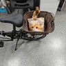 大行（DAHON）折疊自行車20英寸鋁合金輕便6速通勤單車冠特 KBA061黑色 曬單實拍圖