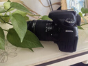 佳能EOS 750D 800D 77D 80D 90D 850D 760D 7D2半畫幅數(shù)碼單反相機(jī) 佳能760D+18-55stm標(biāo)準(zhǔn)鏡頭套機(jī) 國產(chǎn)配件套餐 曬單實(shí)拍圖