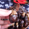 儲山咸臘味徽菜特產(chǎn)火鍋臘肉腌肉臘鴨鴨胗結鴨腳包咸鴨腿年貨禮盒可選 鴨胗結500g 曬單實(shí)拍圖