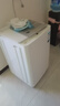 海信（Hisense）波輪洗衣機(jī)全自動(dòng) 8公斤大容量波輪健康家用租房宿舍一級(jí)能效WT80N1Q以舊換新家電補(bǔ)貼20% 曬單實(shí)拍圖
