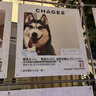 優(yōu)越者 usb轉(zhuǎn)串口線 rs232轉(zhuǎn)9針串口公頭 PLC考勤機(jī)收銀機(jī)標(biāo)簽打印機(jī)com口調(diào)試線1.5米Y-105 曬單實(shí)拍圖