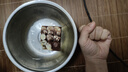 鮮京采新提拉米蘇蛋糕400g/6塊 動(dòng)物奶油咖啡雪糕零食糕點(diǎn)茶歇中秋聚會(huì ) 曬單實(shí)拍圖